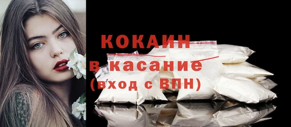 ПСИЛОЦИБИНОВЫЕ ГРИБЫ Арсеньев