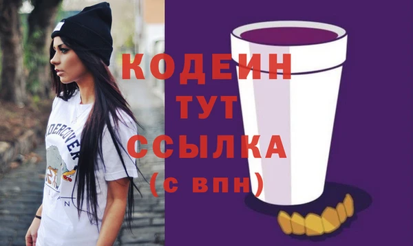 ПСИЛОЦИБИНОВЫЕ ГРИБЫ Арсеньев
