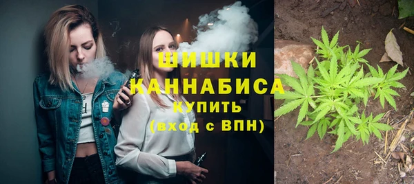 ПСИЛОЦИБИНОВЫЕ ГРИБЫ Арсеньев