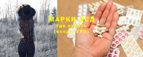 ПСИЛОЦИБИНОВЫЕ ГРИБЫ Арсеньев